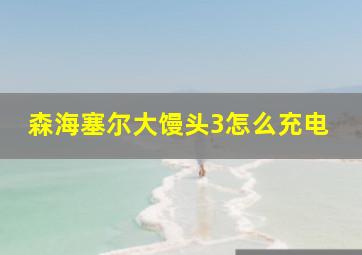 森海塞尔大馒头3怎么充电