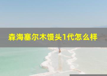 森海塞尔木馒头1代怎么样