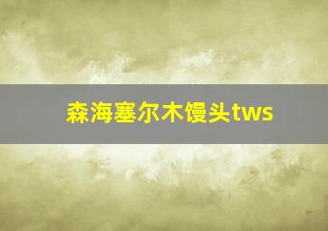 森海塞尔木馒头tws