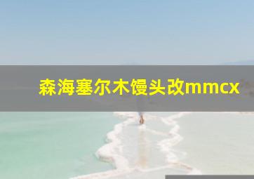 森海塞尔木馒头改mmcx