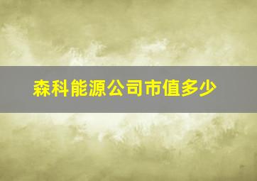 森科能源公司市值多少