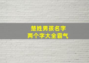 楚姓男孩名字两个字大全霸气