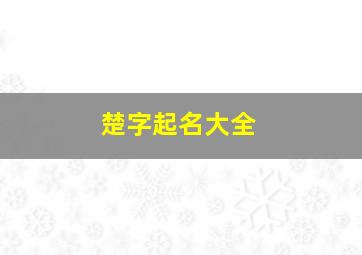 楚字起名大全