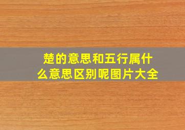 楚的意思和五行属什么意思区别呢图片大全