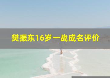 樊振东16岁一战成名评价