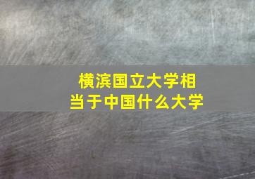 横滨国立大学相当于中国什么大学