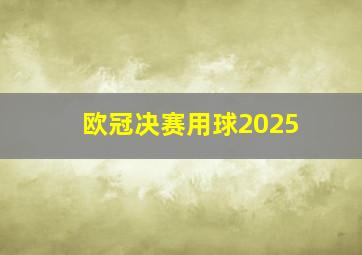 欧冠决赛用球2025