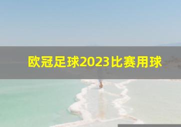 欧冠足球2023比赛用球