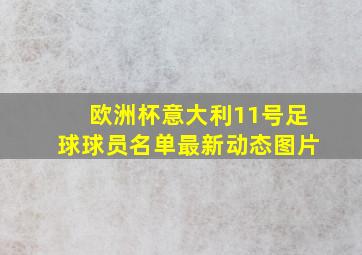 欧洲杯意大利11号足球球员名单最新动态图片