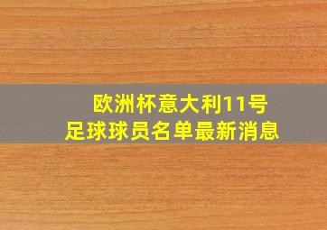 欧洲杯意大利11号足球球员名单最新消息