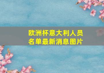 欧洲杯意大利人员名单最新消息图片