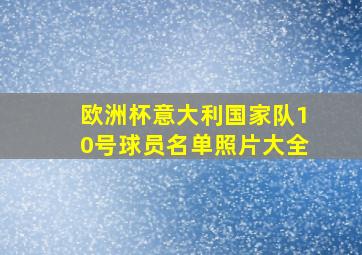 欧洲杯意大利国家队10号球员名单照片大全