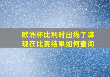 欧洲杯比利时出线了嘛现在比赛结果如何查询