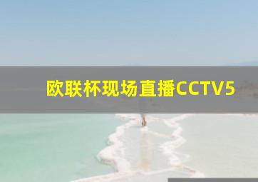 欧联杯现场直播CCTV5