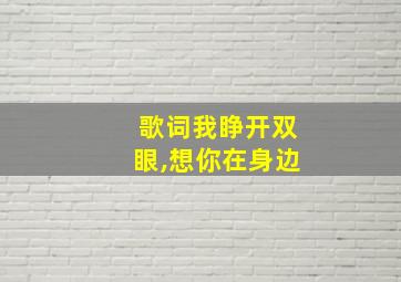 歌词我睁开双眼,想你在身边