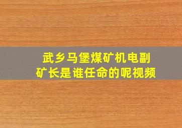 武乡马堡煤矿机电副矿长是谁任命的呢视频