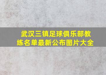 武汉三镇足球俱乐部教练名单最新公布图片大全