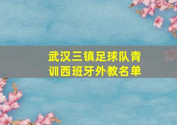 武汉三镇足球队青训西班牙外教名单