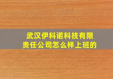 武汉伊科诺科技有限责任公司怎么样上班的