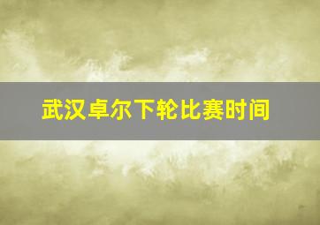 武汉卓尔下轮比赛时间