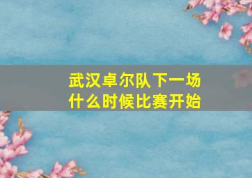 武汉卓尔队下一场什么时候比赛开始