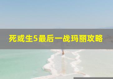 死或生5最后一战玛丽攻略