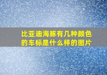 比亚迪海豚有几种颜色的车标是什么样的图片