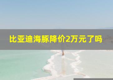 比亚迪海豚降价2万元了吗