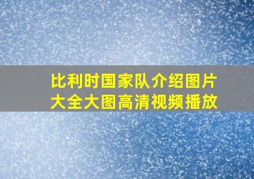 比利时国家队介绍图片大全大图高清视频播放