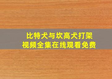 比特犬与坎高犬打架视频全集在线观看免费