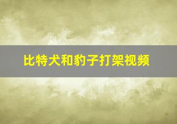 比特犬和豹子打架视频