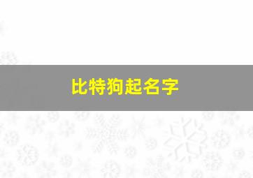 比特狗起名字