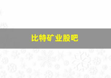 比特矿业股吧