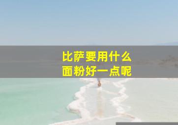 比萨要用什么面粉好一点呢