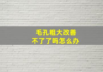 毛孔粗大改善不了了吗怎么办