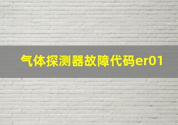 气体探测器故障代码er01