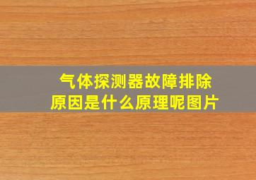 气体探测器故障排除原因是什么原理呢图片