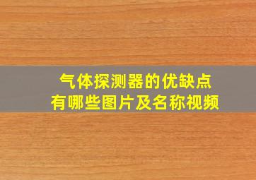 气体探测器的优缺点有哪些图片及名称视频