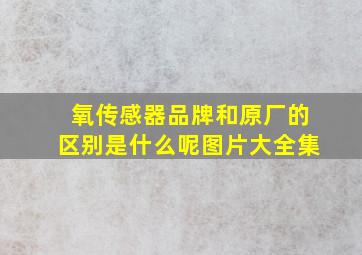 氧传感器品牌和原厂的区别是什么呢图片大全集