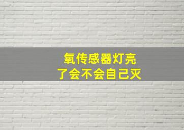 氧传感器灯亮了会不会自己灭