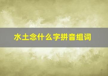 水土念什么字拼音组词