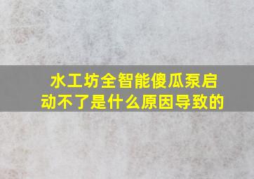 水工坊全智能傻瓜泵启动不了是什么原因导致的