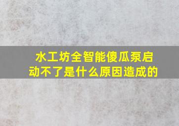 水工坊全智能傻瓜泵启动不了是什么原因造成的