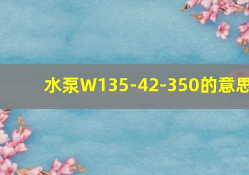 水泵W135-42-350的意思