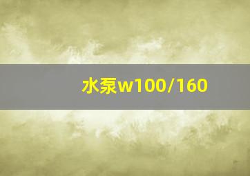 水泵w100/160