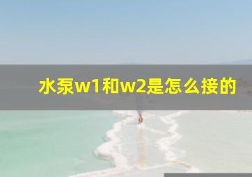 水泵w1和w2是怎么接的