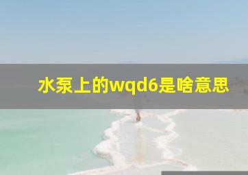 水泵上的wqd6是啥意思