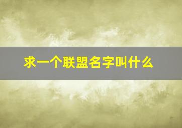 求一个联盟名字叫什么