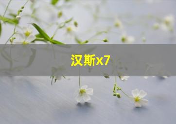 汉斯x7