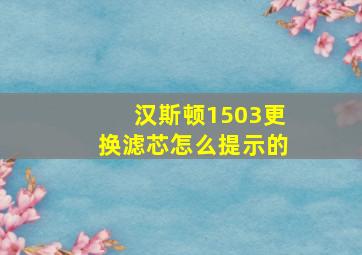 汉斯顿1503更换滤芯怎么提示的